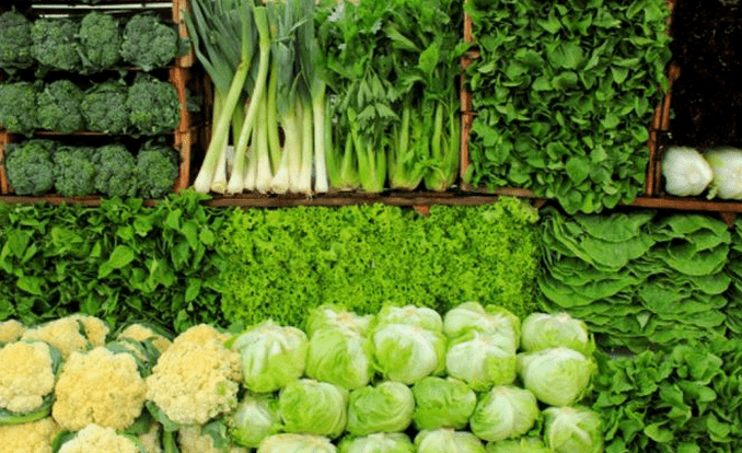 Inilah Ragam Manfaat Konsumsi Sayuran Hijau Bagi Kesehatan Tubuh