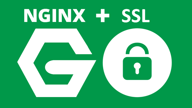 cara instal SSL di Ubuntu Nginx