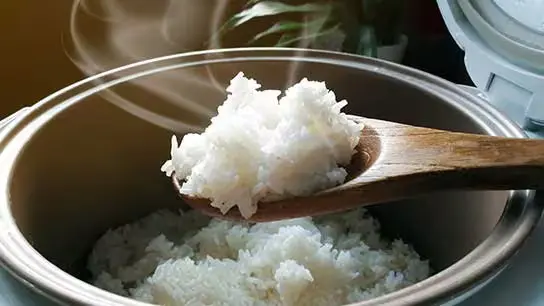 Trik Menanak Nasi di Rice Cooker Agar Pulen dan Nggak Gampang Basi