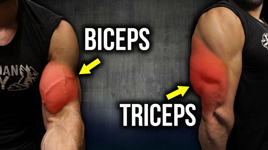 Cara melatih otot lengan bisep dan trisep